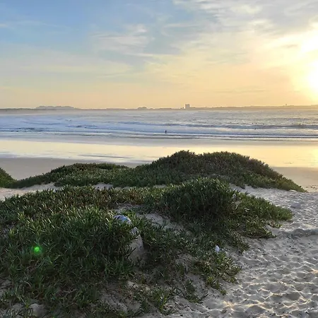 D Wan Deluxe * 巴勒尔